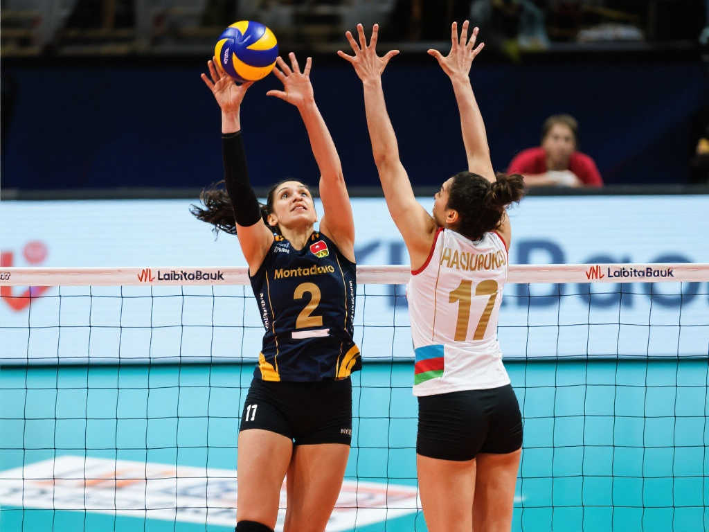 取了高压逼 取了高压逼