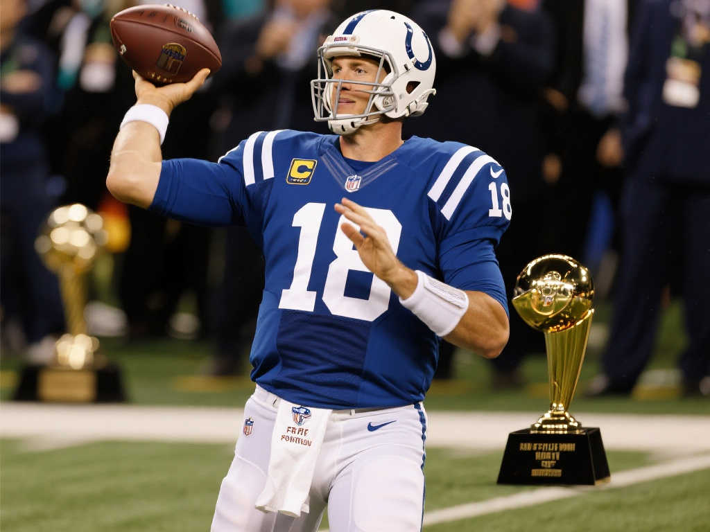 安全保障措 安全保障措